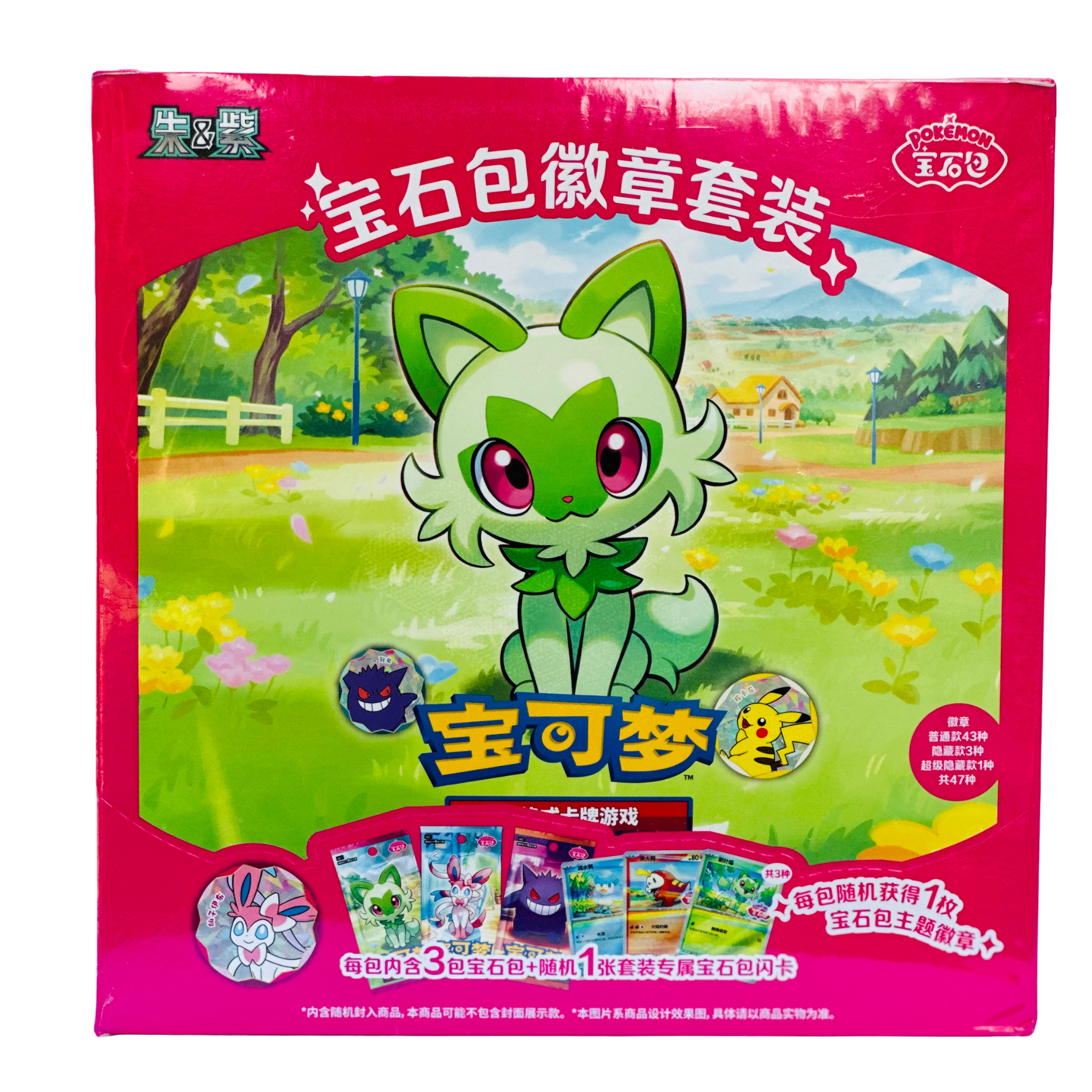 Pokémon TCG Gem Badge Set Box – Simplified Chinese